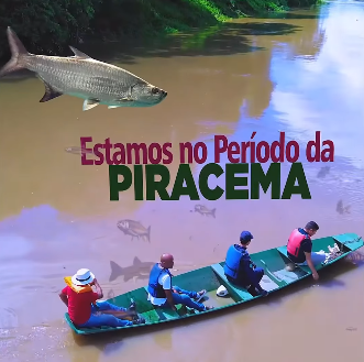 Importância do respeito ao período da Piracema