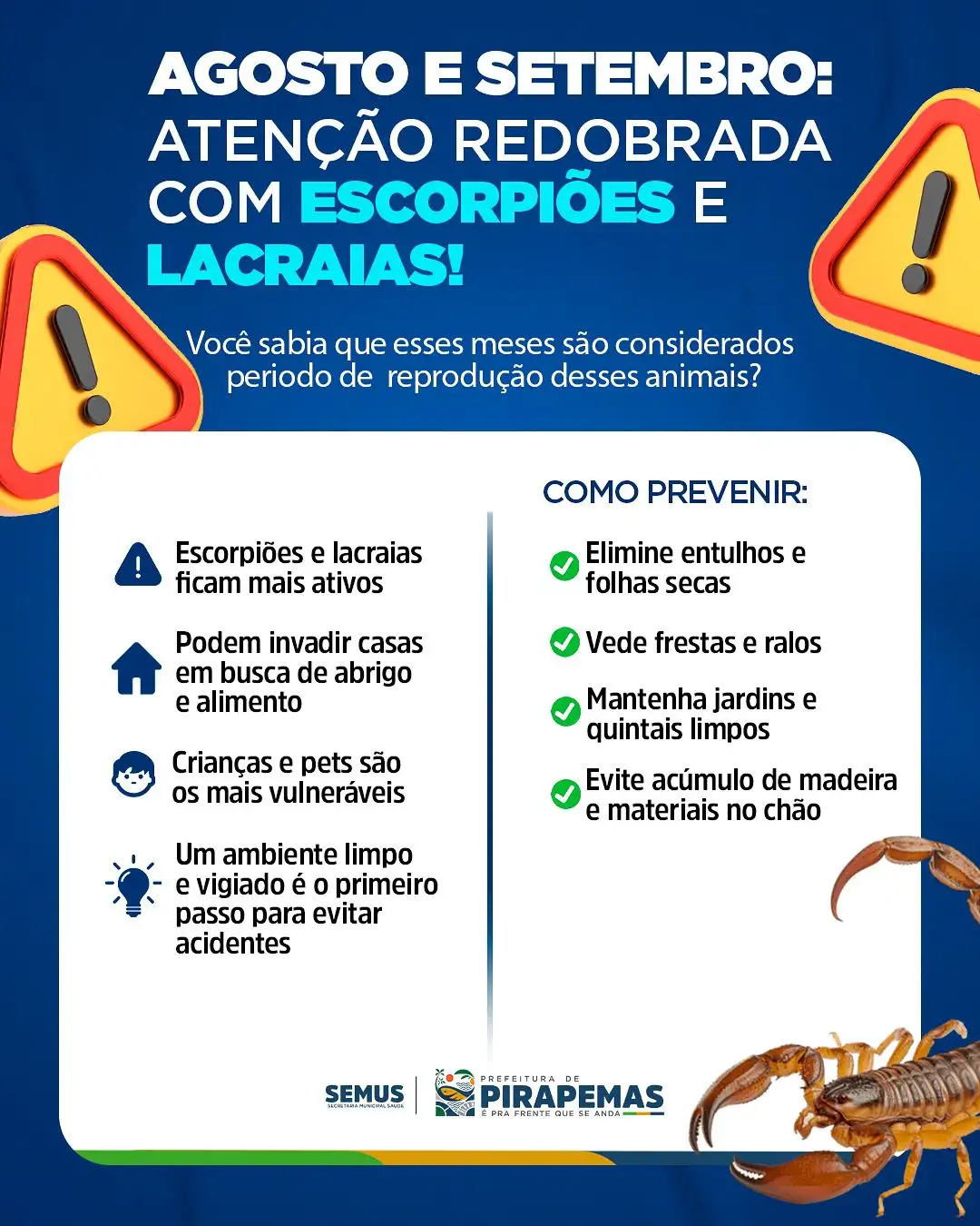 ⚠️ Agosto e Setembro: atenção redobrada com escorpiões e lacraias!