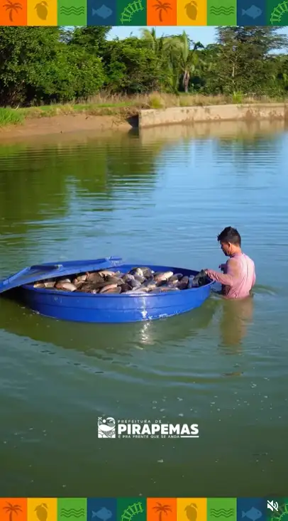 Pescaria dos peixes que já já serão entregues à população!
